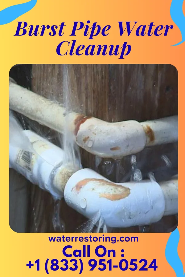 Burst Pipe Water Cleanup in Pineville, LA